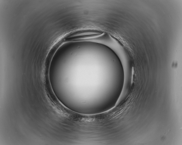 X0000096390440200801241306