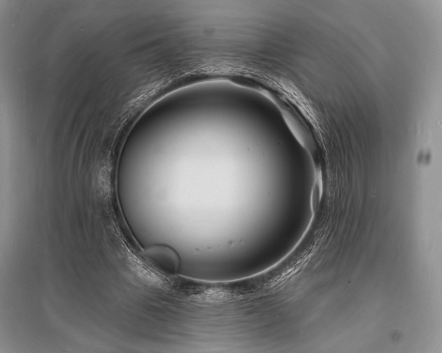 X0000096390441200801241306