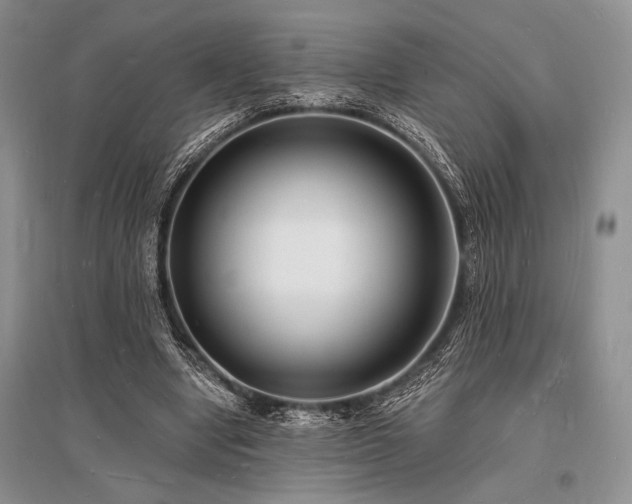 X0000096390442200801241306