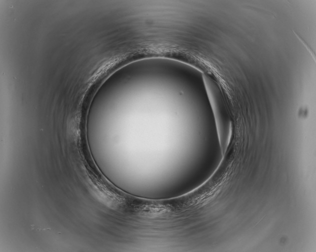 X0000096390443200801241306