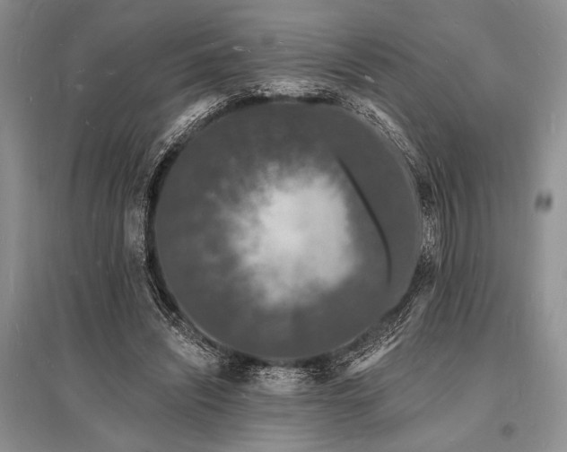 X0000096390444200801241306