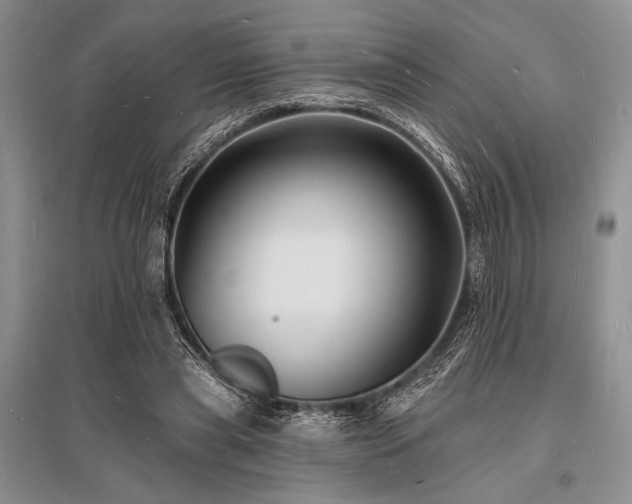 X0000096390445200801241306
