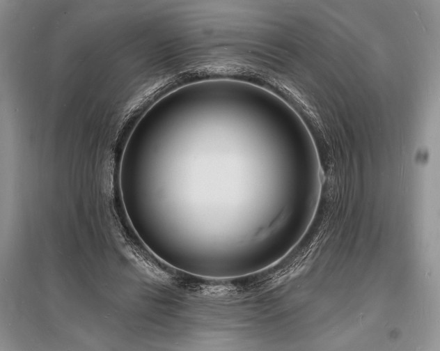 X0000096390446200801241306