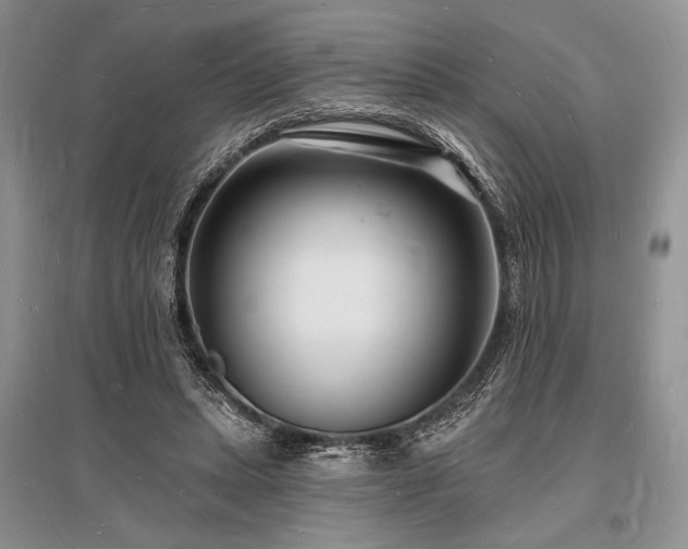 X0000096390447200801241306