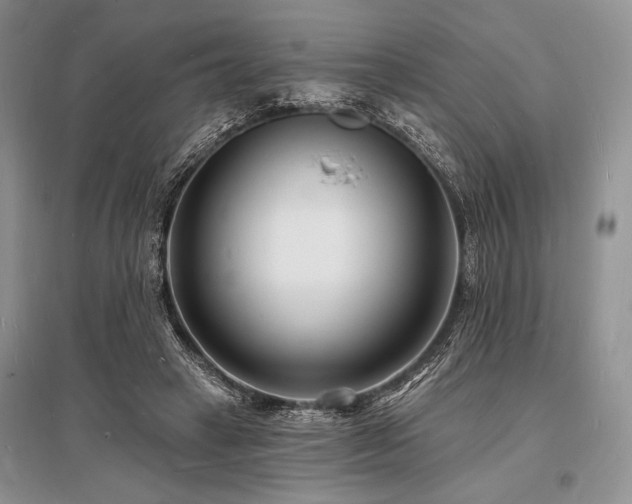 X0000096390449200801241306