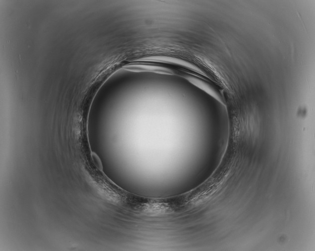 X0000096390451200801241306