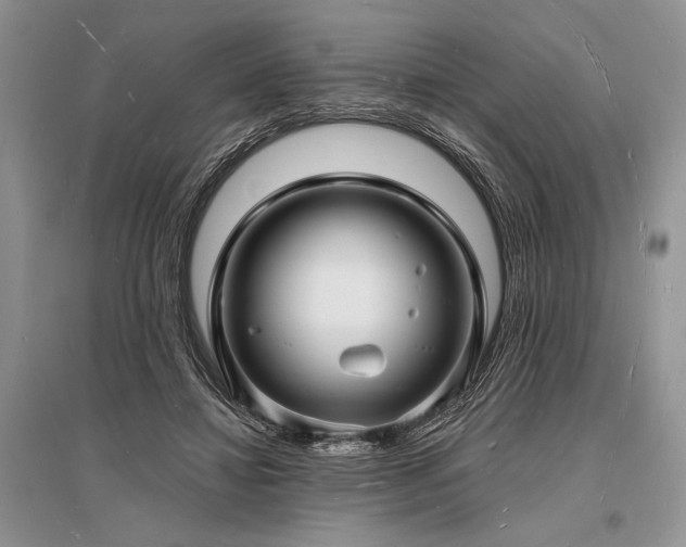 X0000096390452200801241306