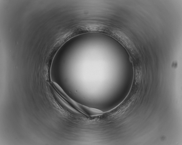 X0000096390453200801241306