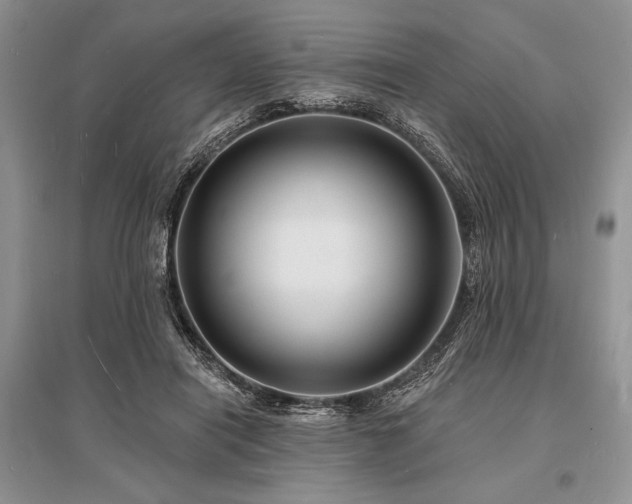 X0000096390454200801241306