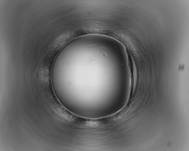X0000096390457200801241306