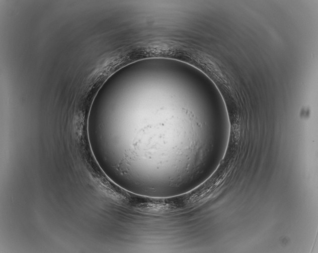 X0000096390458200801241306