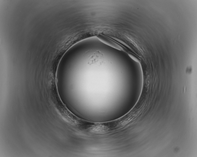 X0000096390459200801241306
