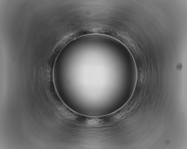 X0000096390461200801241306