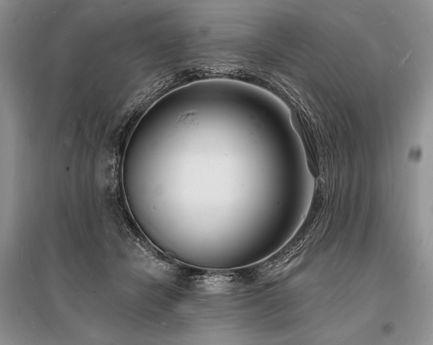 X0000096390462200801241306