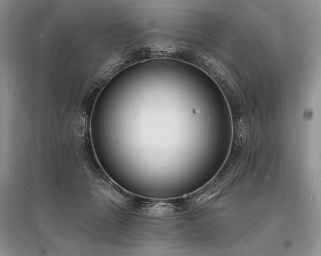 X0000096390463200801241306