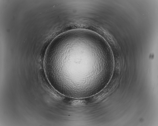 X0000096390465200801241306