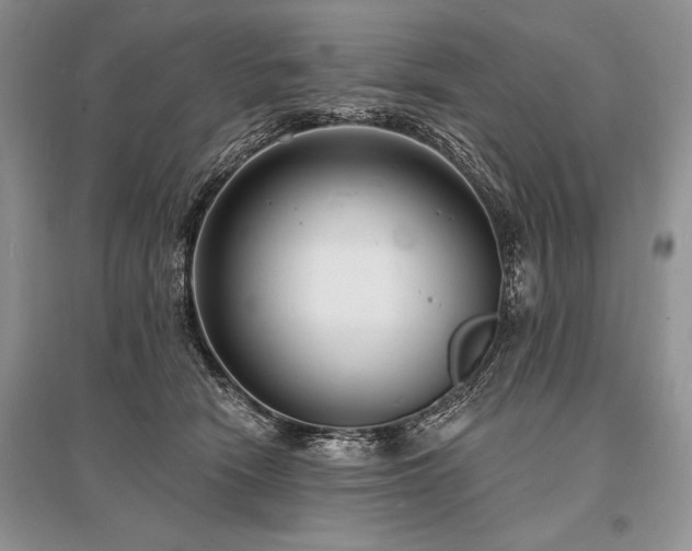 X0000096390466200801241306