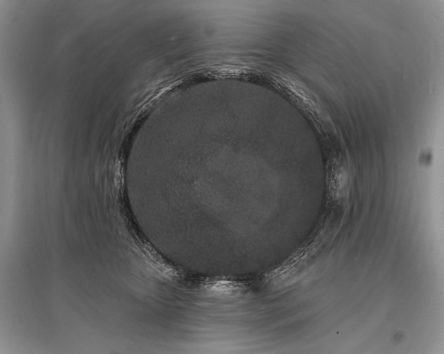 X0000096390467200801241306