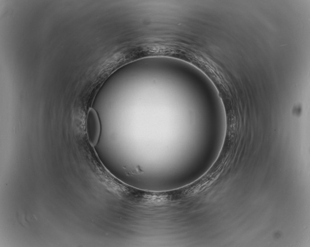 X0000096390469200801241306