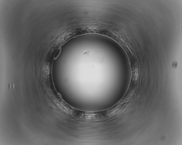 X0000096390472200801241306