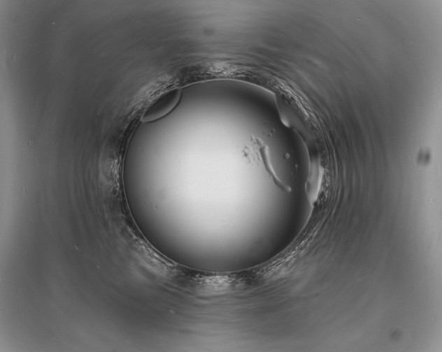 X0000096390473200801241306