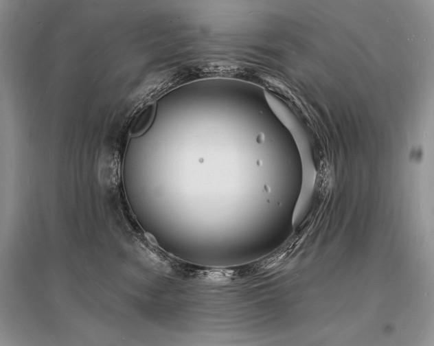 X0000096390474200801241306