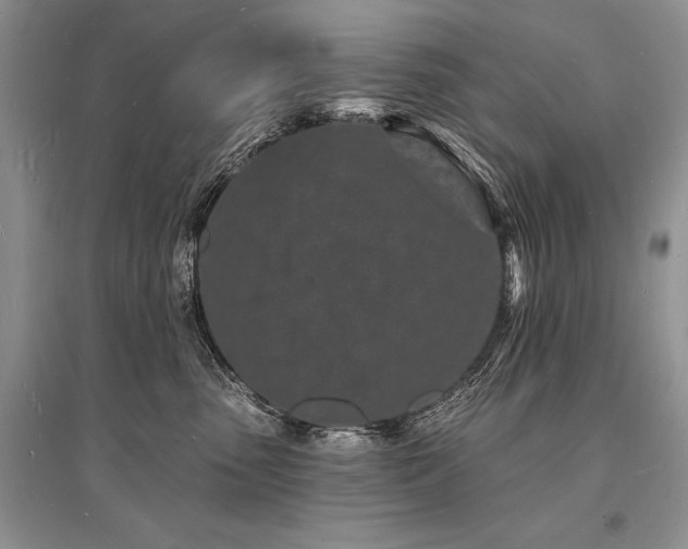 X0000096390475200801241306