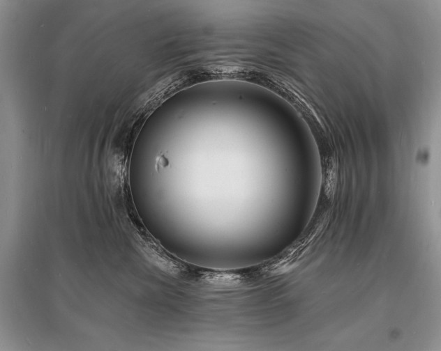 X0000096390476200801241306