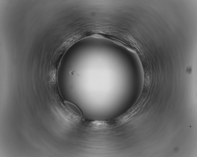 X0000096390477200801241306
