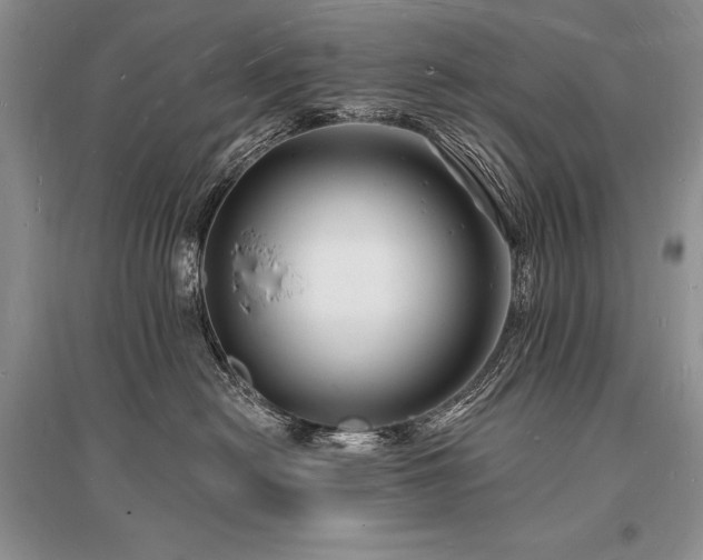 X0000096390478200801241306
