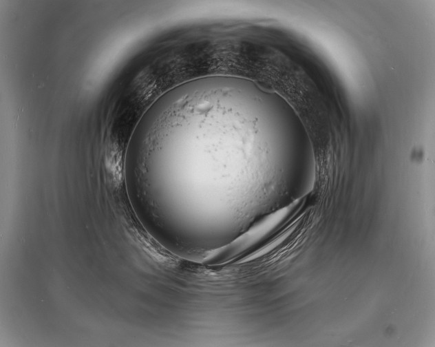 X0000096390479200801241306