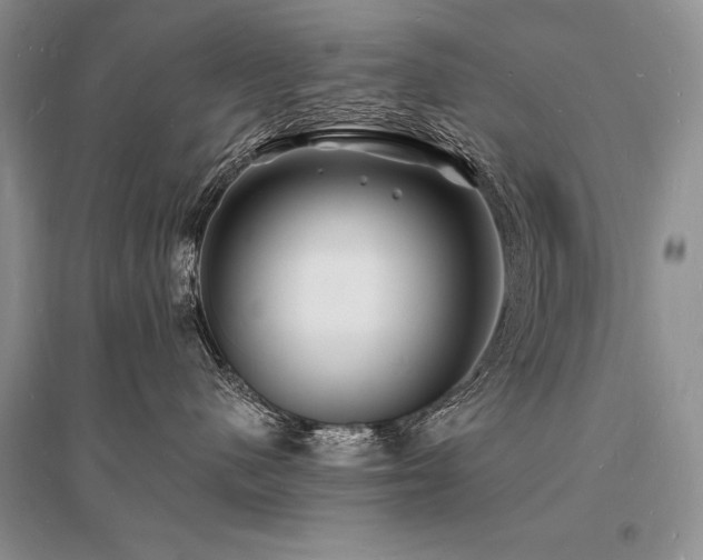 X0000096390480200801241306