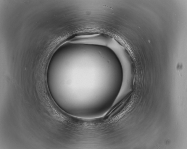 X0000096390481200801241305