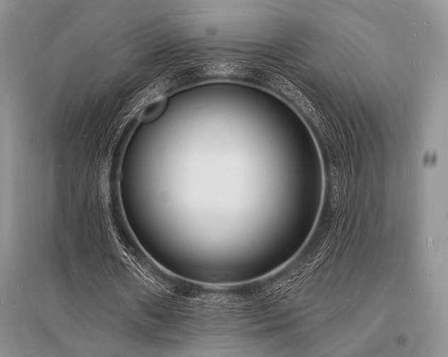 X0000096390482200801241305