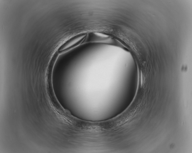 X0000096390483200801241305