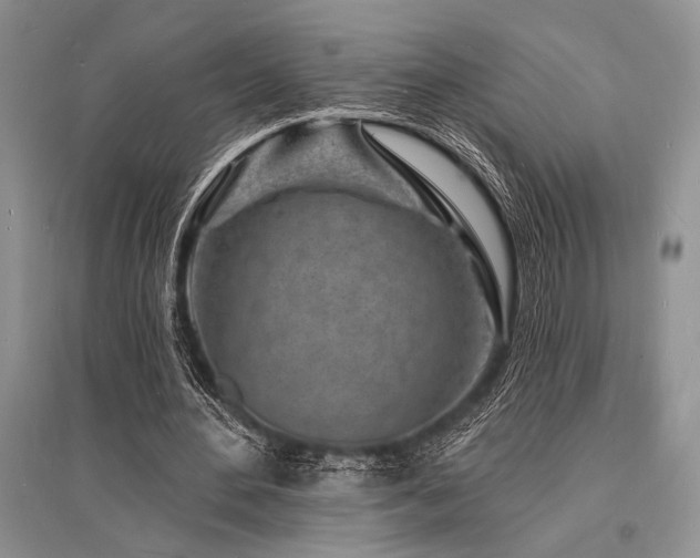 X0000096390484200801241305