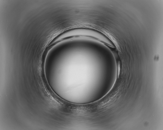 X0000096390485200801241305