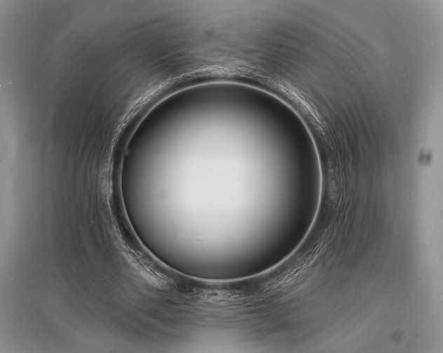 X0000096390486200801241305