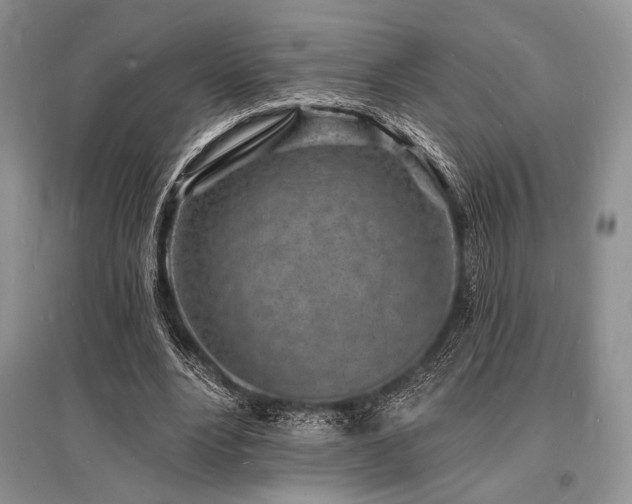 X0000096390488200801241305