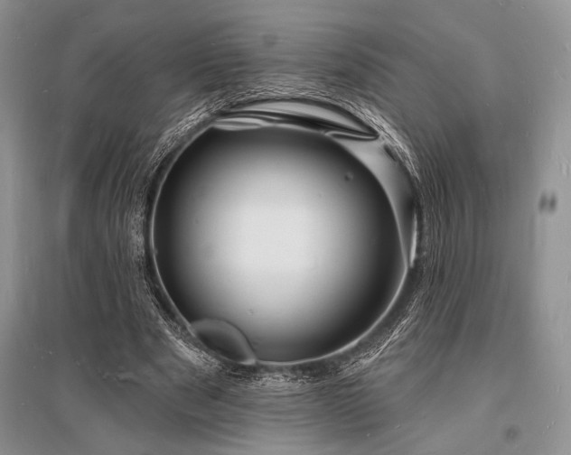X0000096390489200801241305