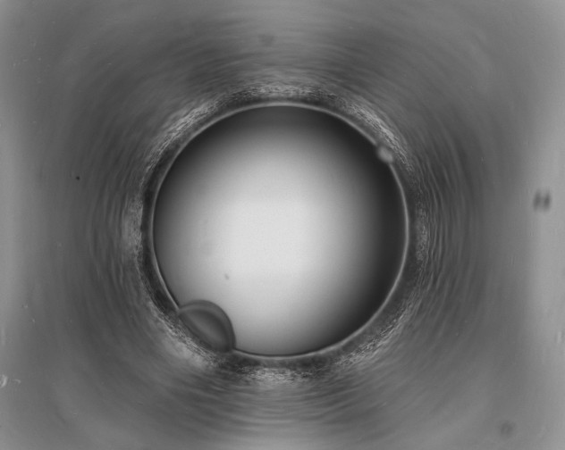 X0000096390490200801241305