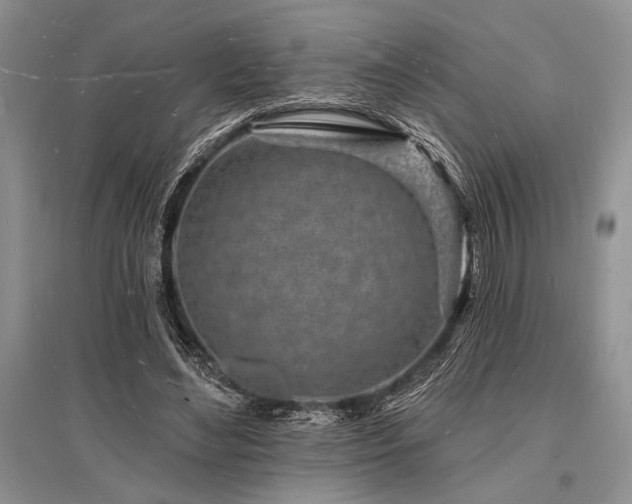 X0000096390492200801241305