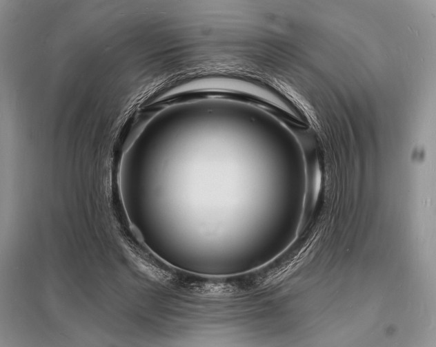 X0000096390493200801241305