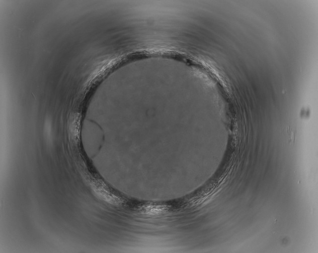 X0000096390495200801241305