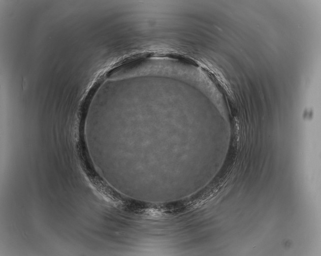 X0000096390496200801241305