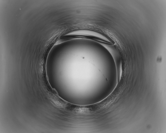 X0000096390501200801241305