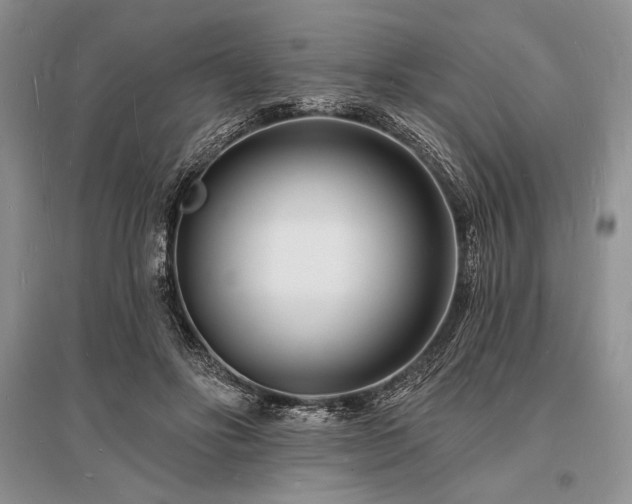 X0000096390502200801241305