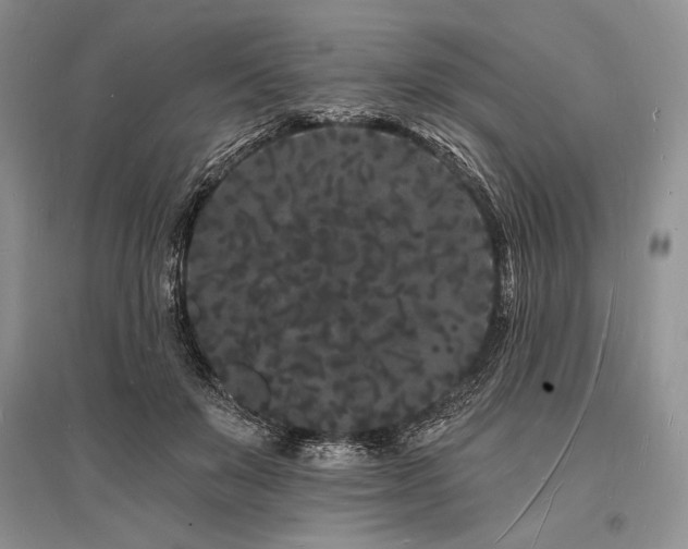 X0000096390503200801241305