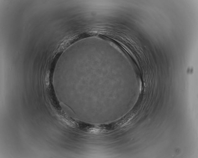 X0000096390504200801241305