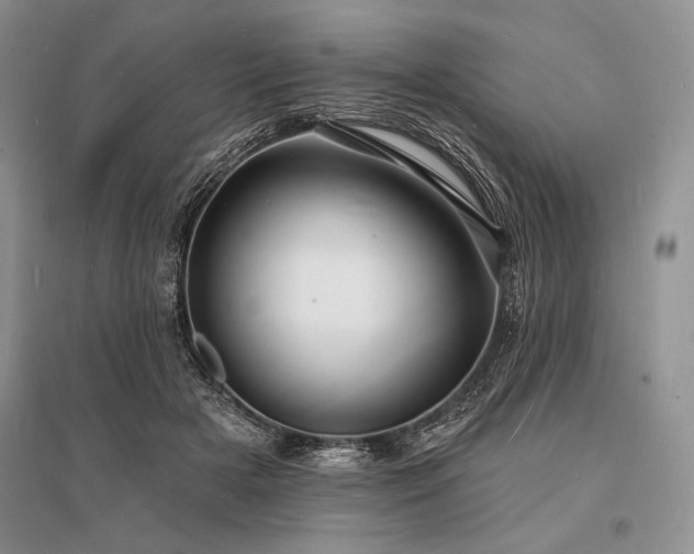 X0000096390505200801241305